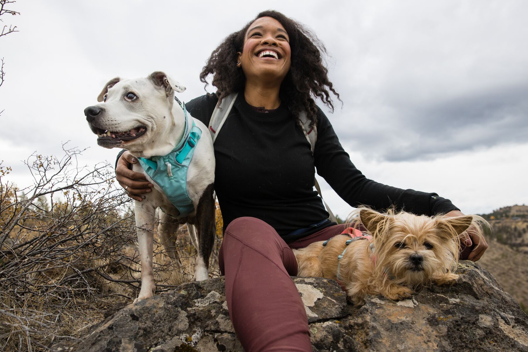 RuffWear Flagline™ Harness Sage Green