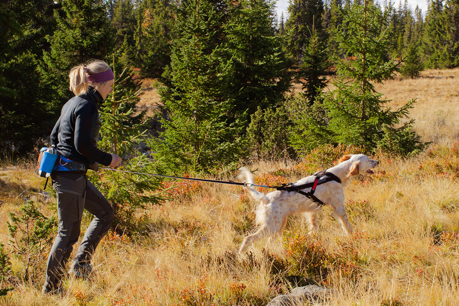 Non-stop dogwear Ferd Belt Bag