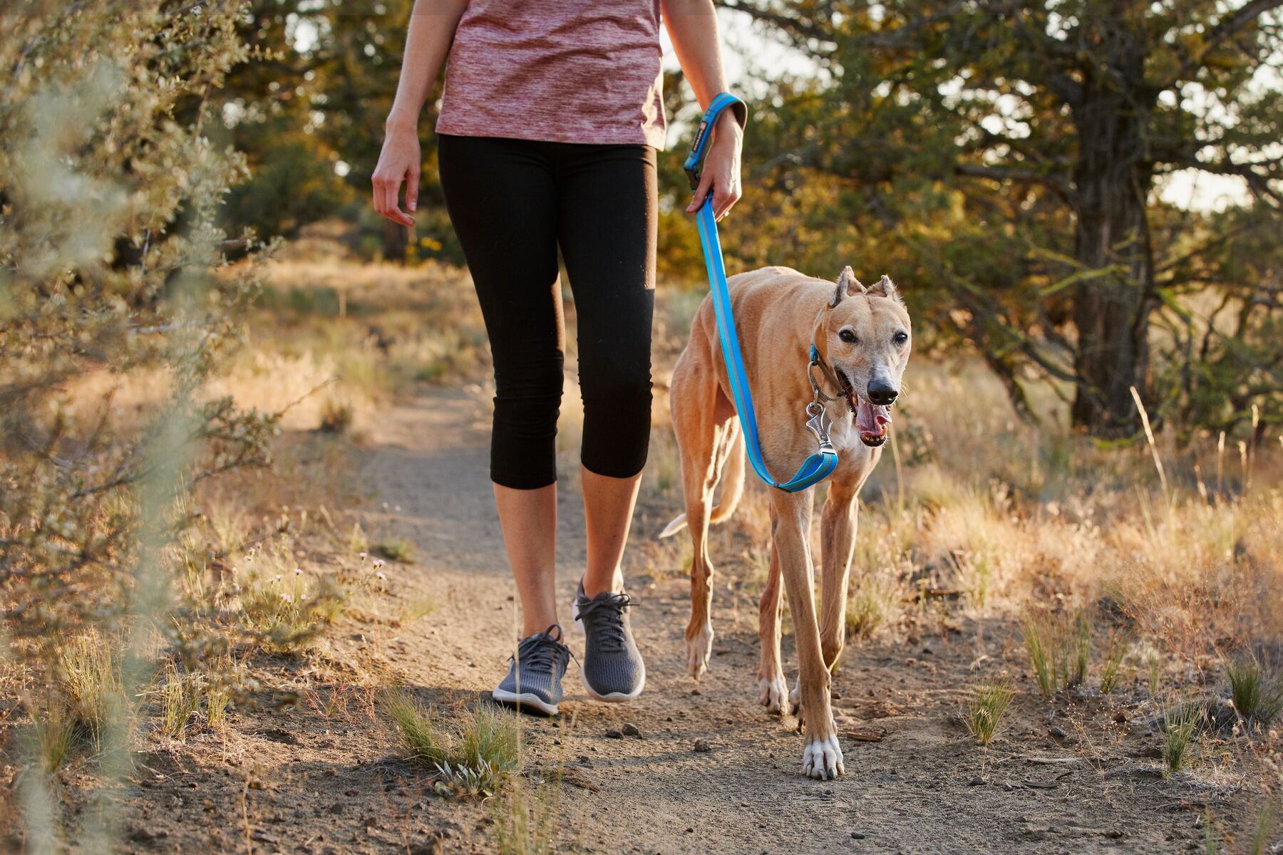 Ruffwear Crag Leash