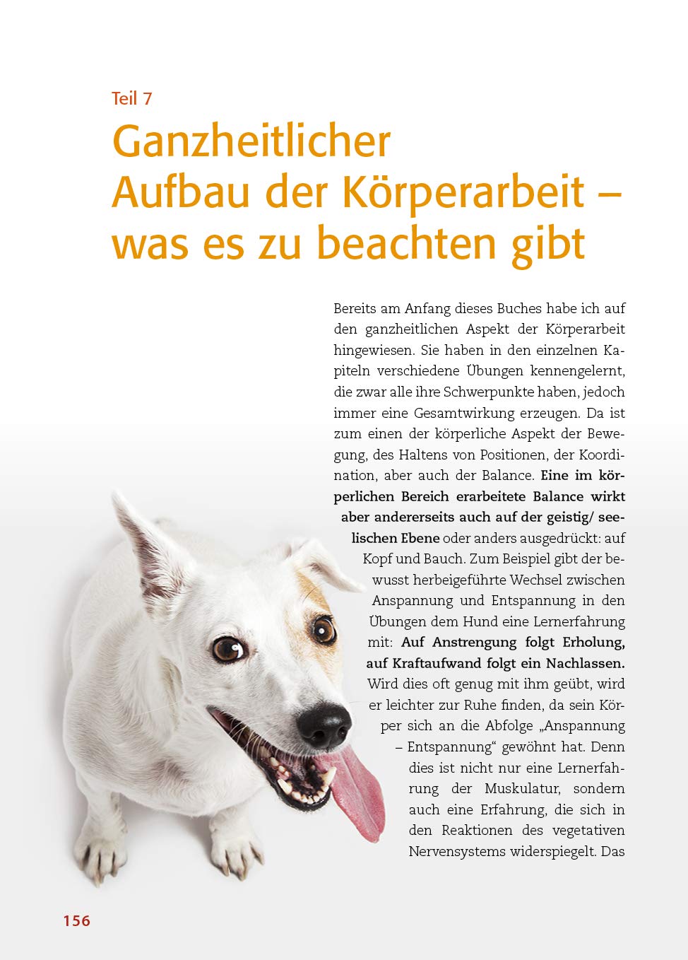 Animal Learn - Körperarbeit mit dem Hund: Koordination verbessern, Balance stärken, Bindung vertiefen [Silke Stricker]