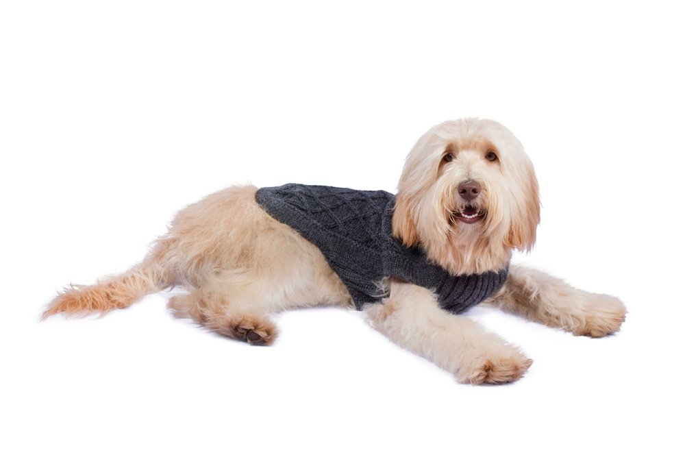 Alqo Wasi Hunde-Pullover Diamond Cable knit Charcoal