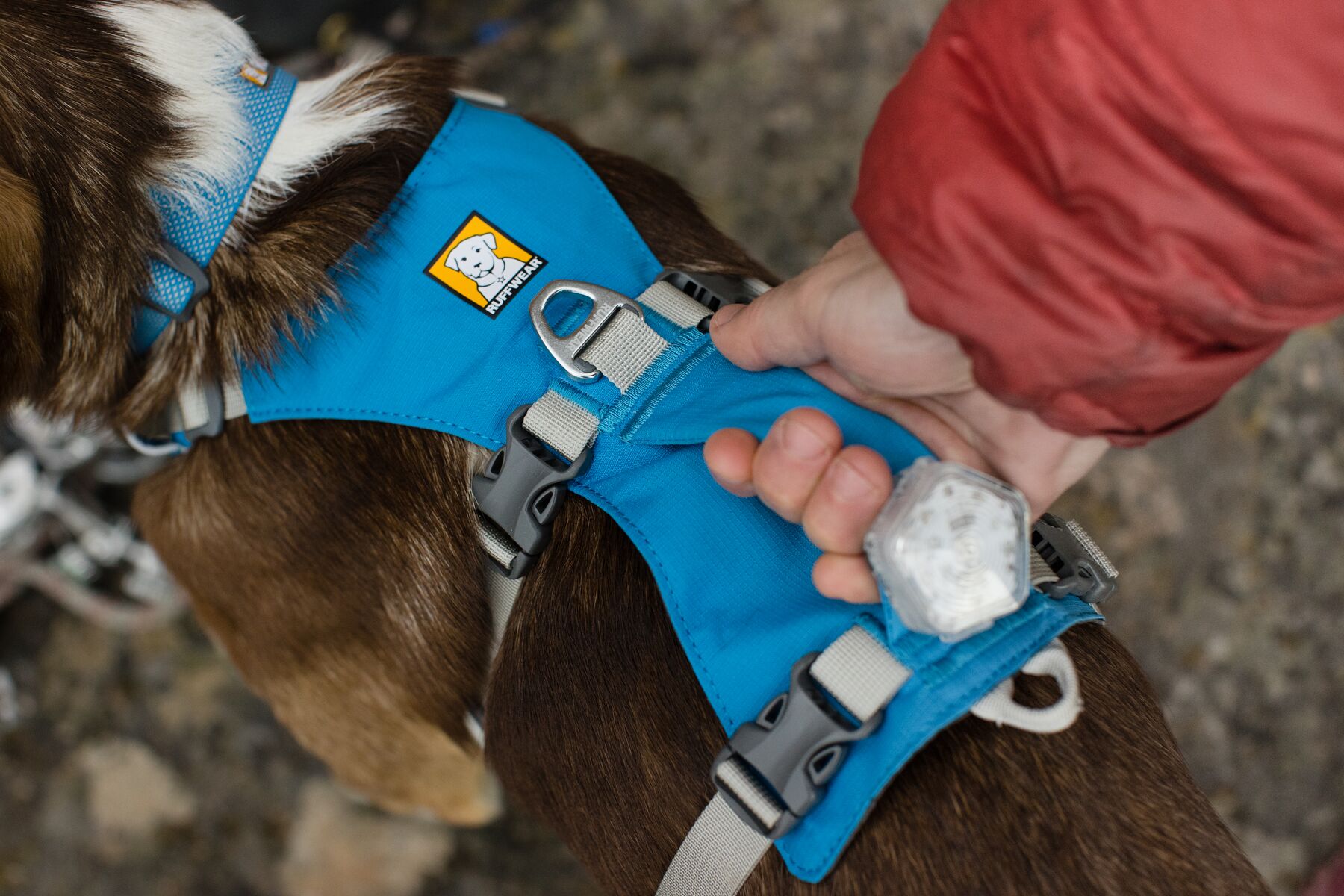 RuffWear Flagline™ Harness Blue Dusk