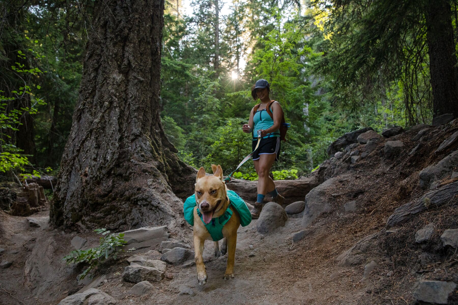 RuffWear Front Range™ Day Pack Aurora Teal RuffWear Front Range™ Day Pack Aurora Teal
