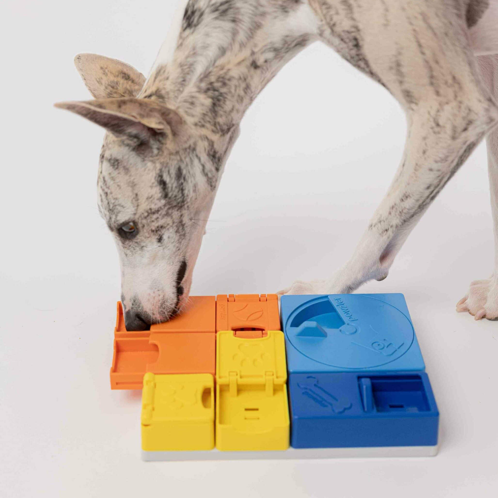 Pawzler interaktives Hundepuzzle - Rainbow set - Level 1-3