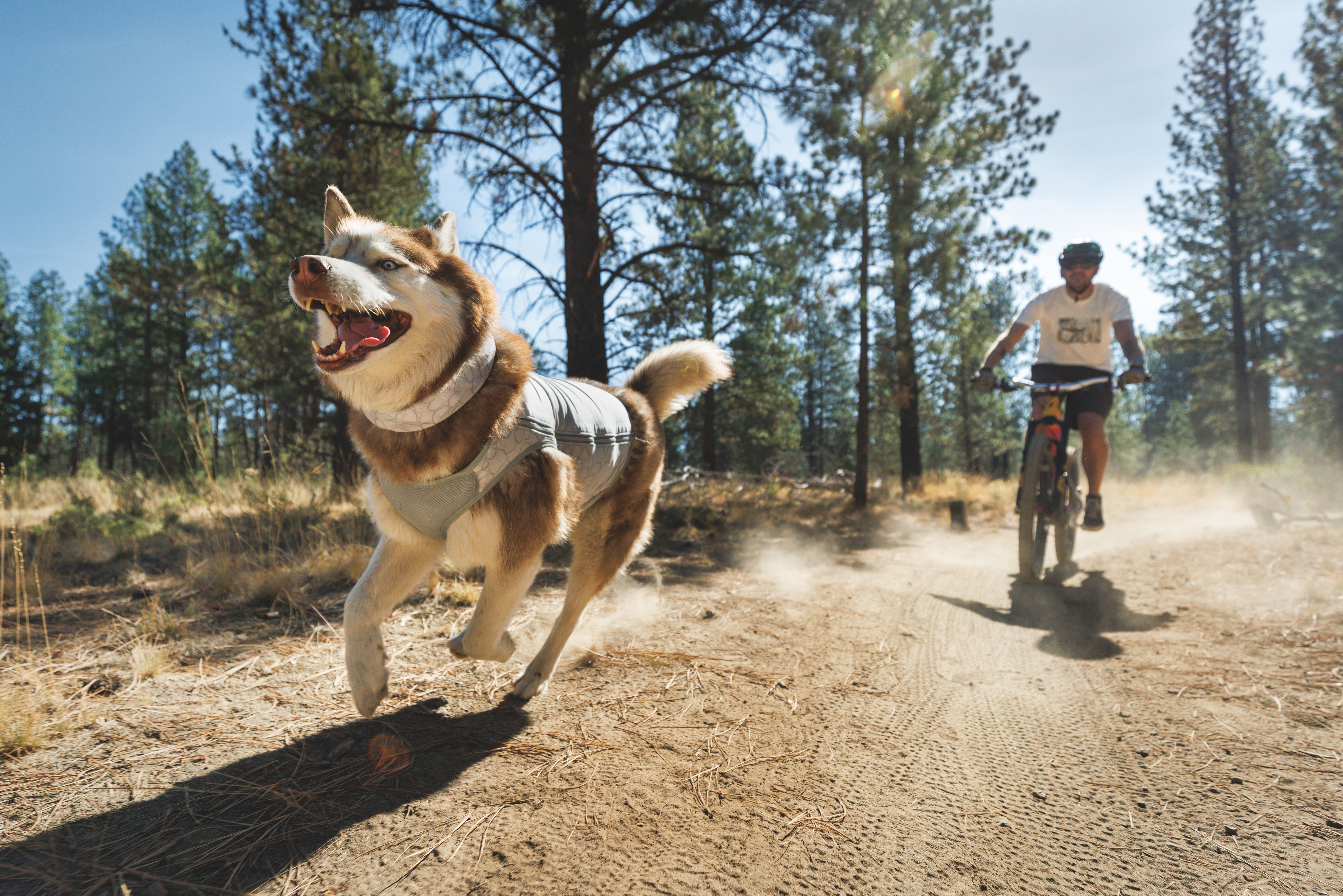 Ruffwear Swamp Cooler Zip™ Vest Graphite Gray