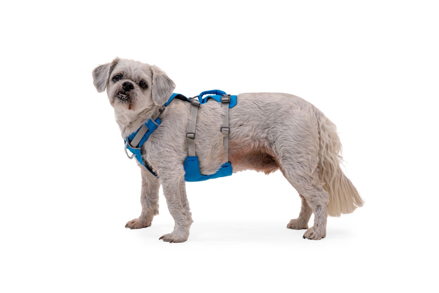 RuffWear Flagline™ Harness Blue Dusk