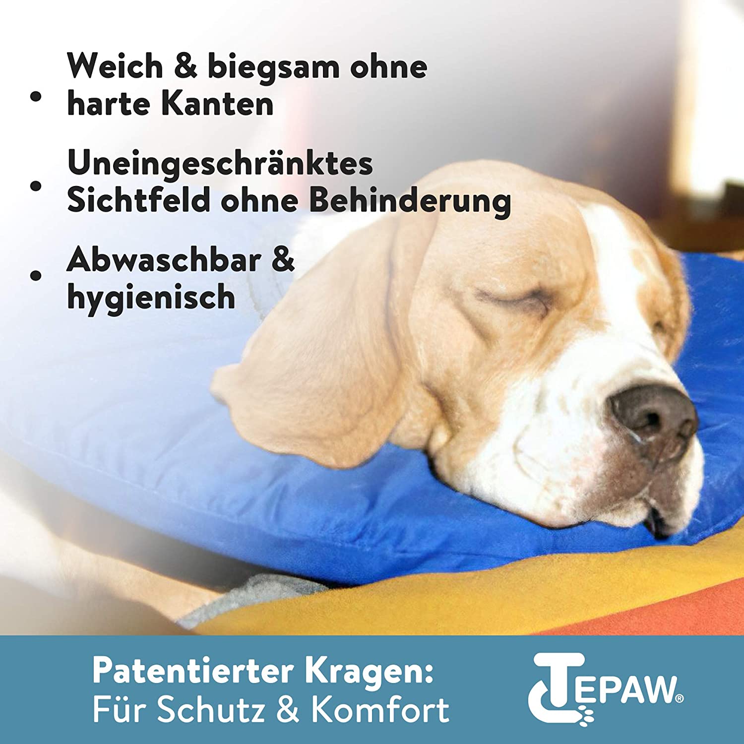 Tepaw Halskragen für Hunde blau