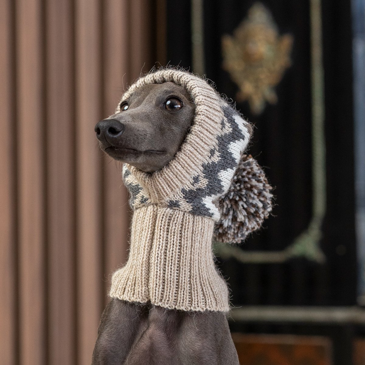 Alqo Wasi Hunde-Schalmütze Woolly Winter