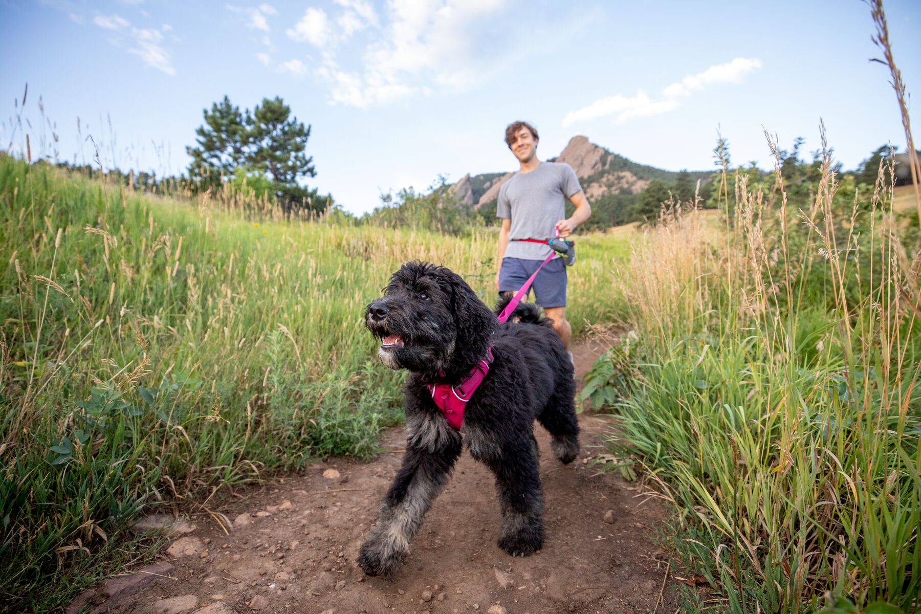 RuffWear Front Range™ Leash (one size) RuffWear Front Range™ Leash (one size)