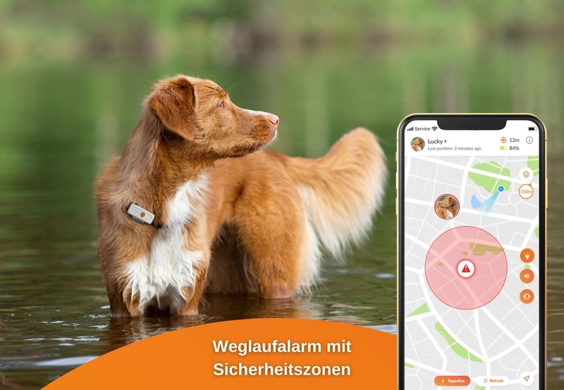 Weenect GPS-Tracker XS Dogs