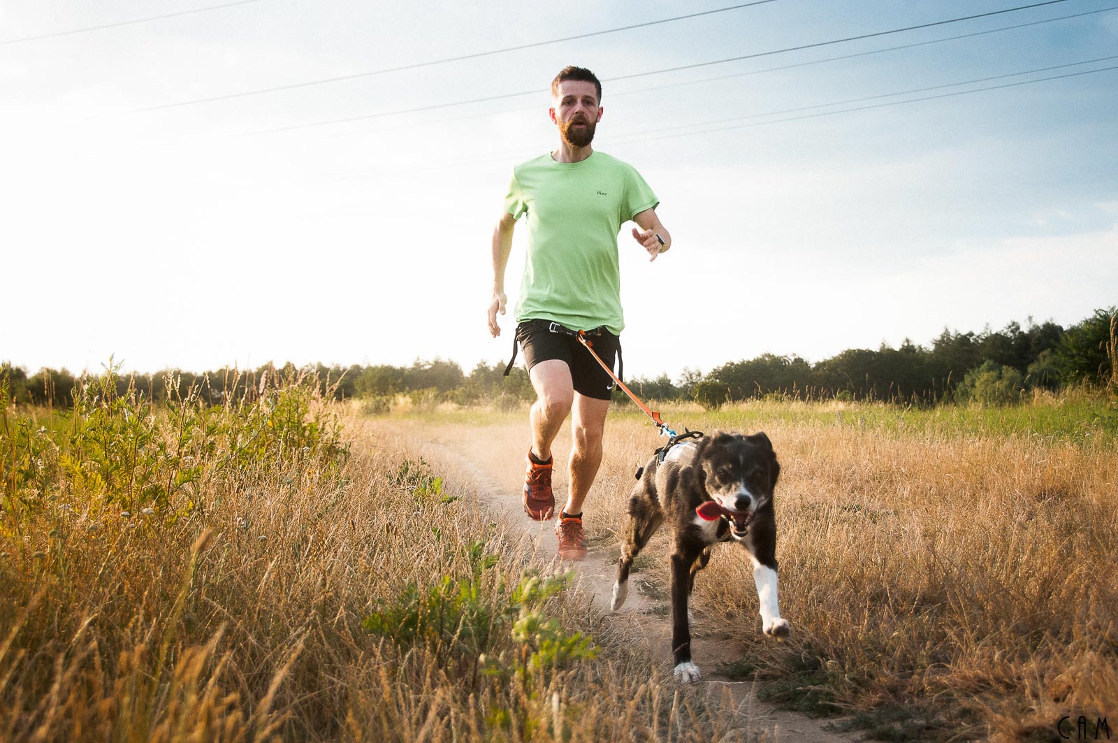 Non-stop dogwear Bungee Leash 2.0