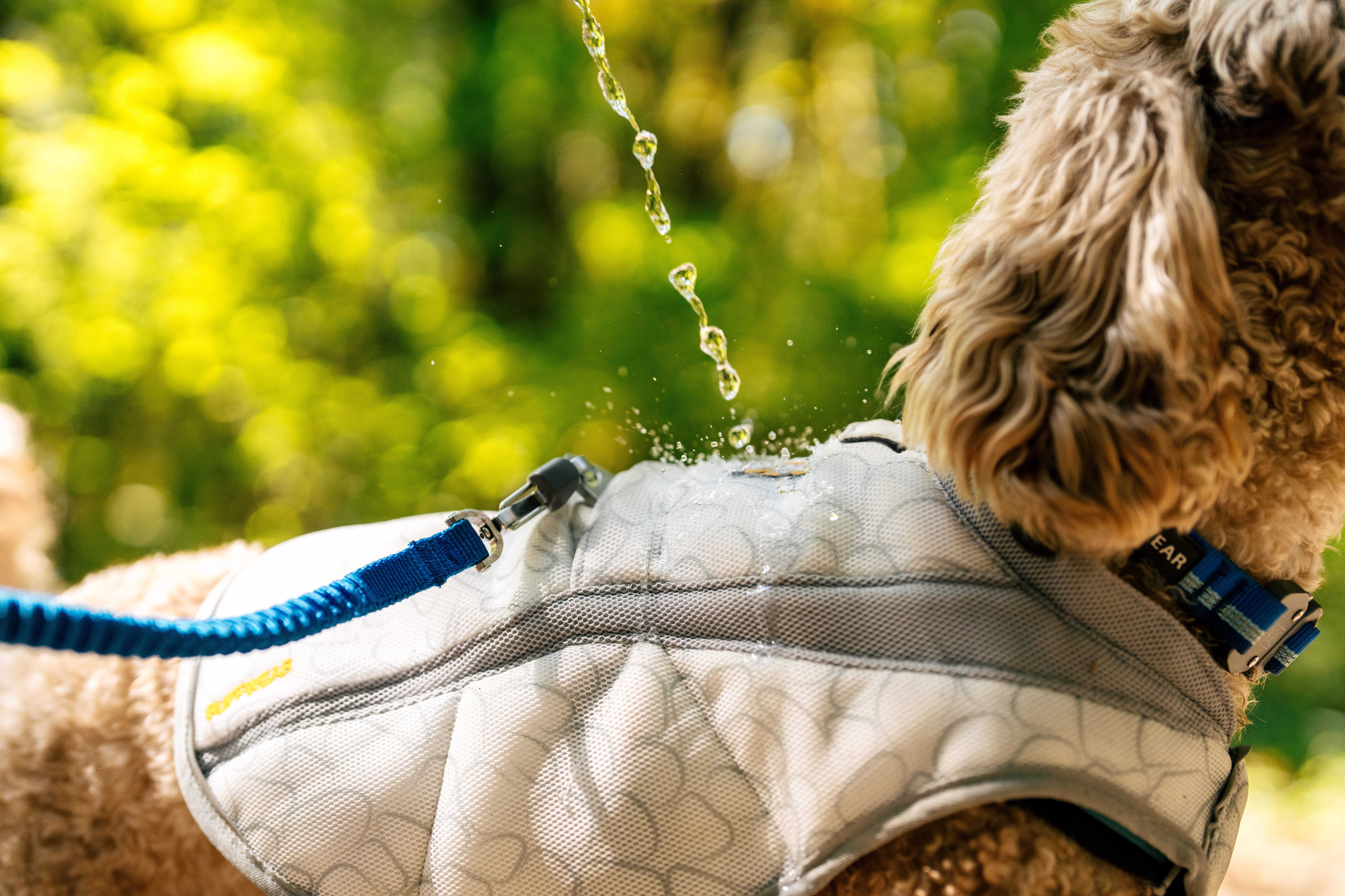 Ruffwear Swamp Cooler™ Vest Graphite Gray