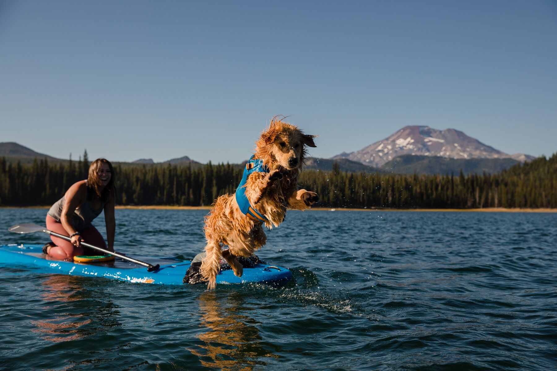 RuffWear Float Coat™ Blue Dusk