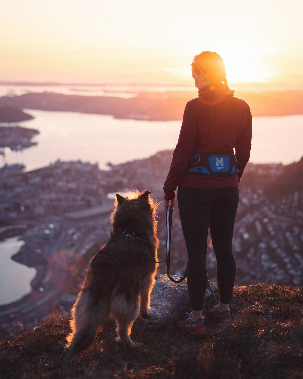 Non-stop dogwear Ferd Belt