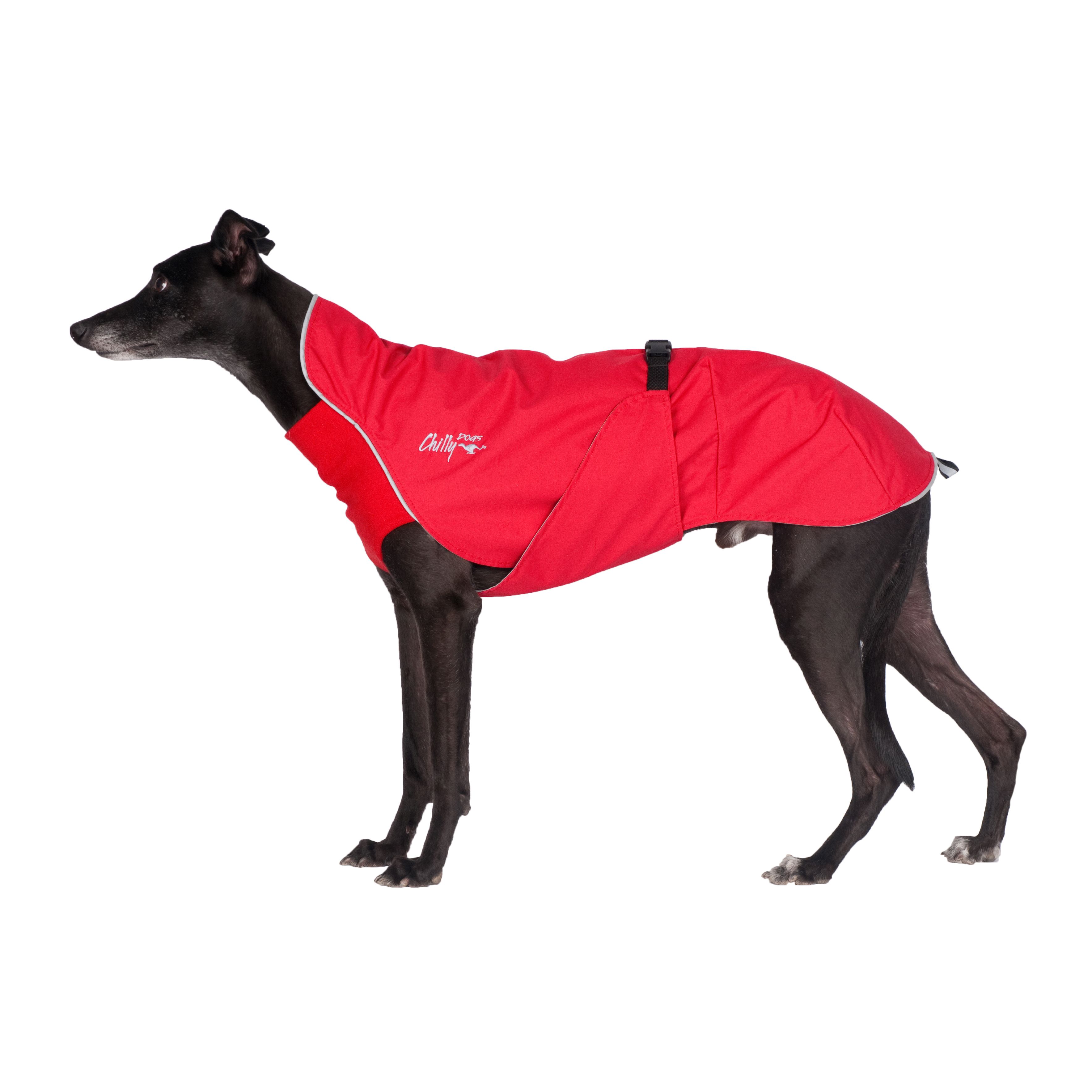 Chilly Dogs Harbour Slicker STANDARD