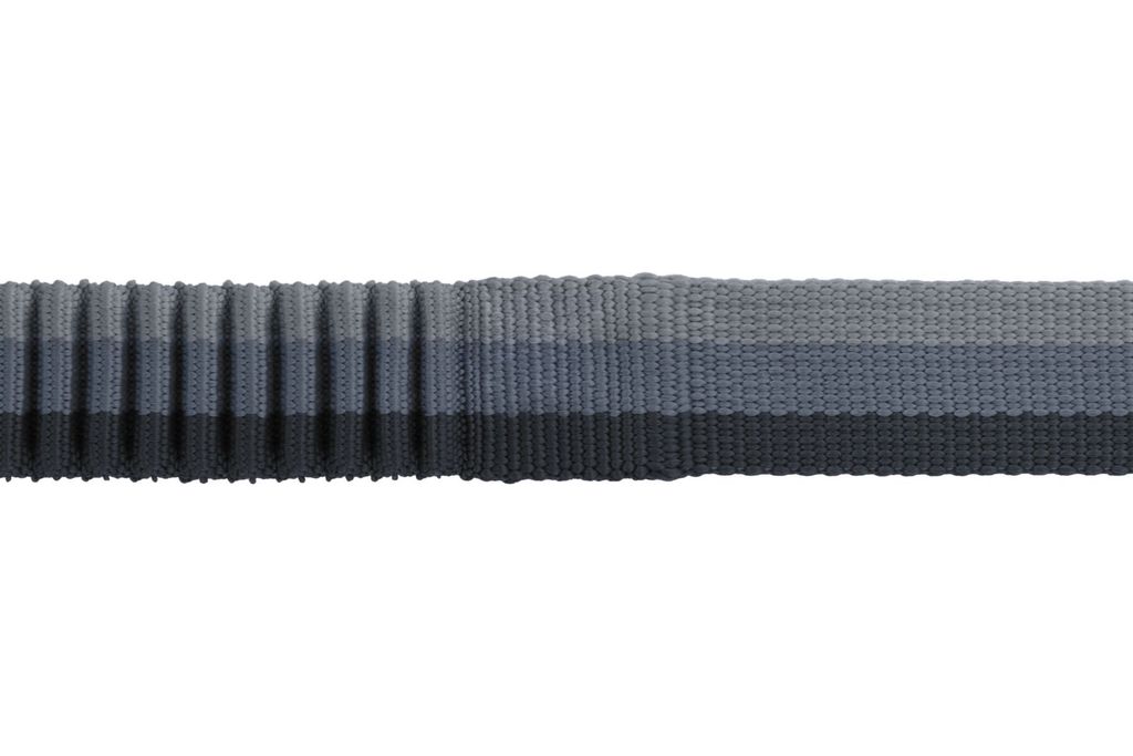 RuffWear Roamer™ Leash