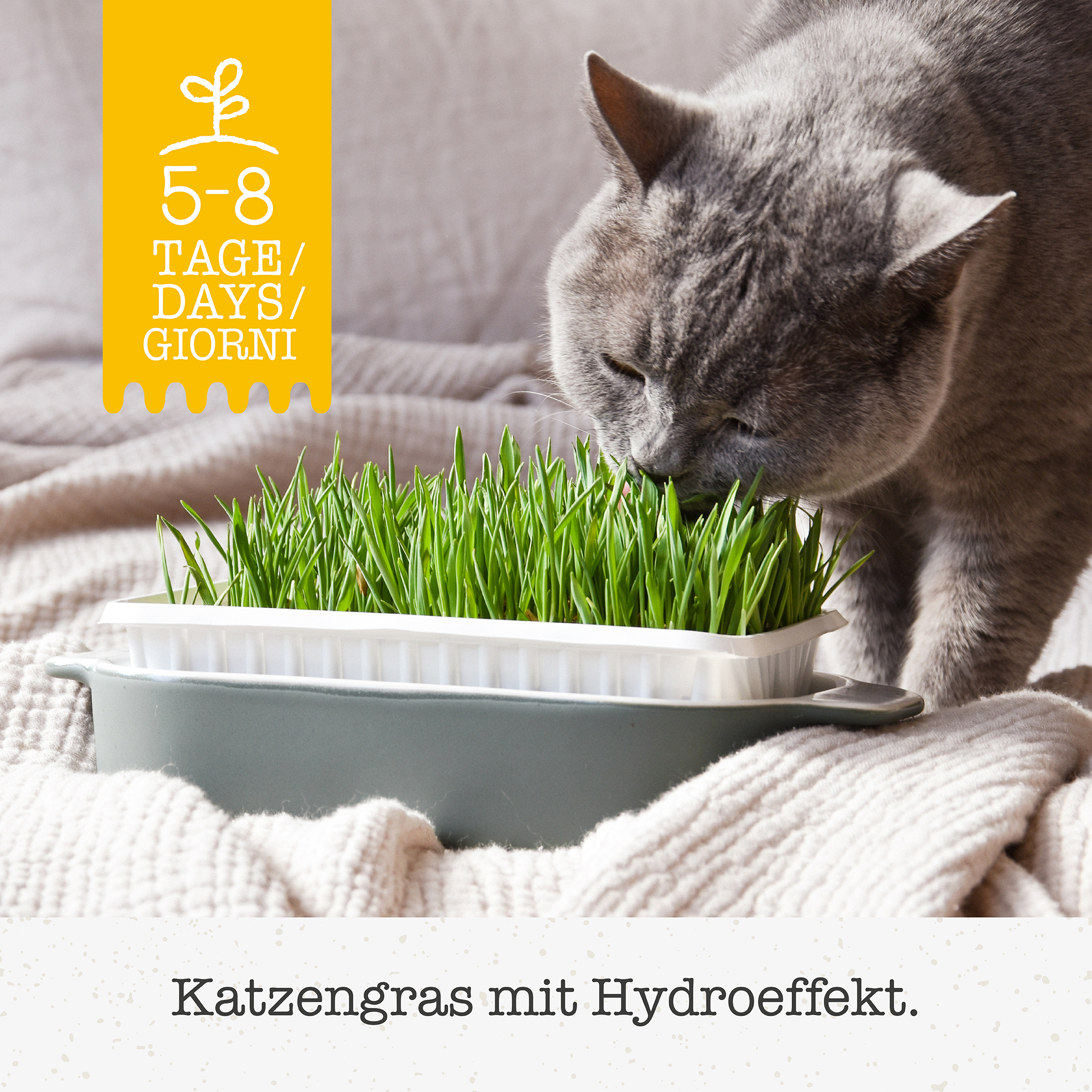 GimCat Hydro-Gras 150g