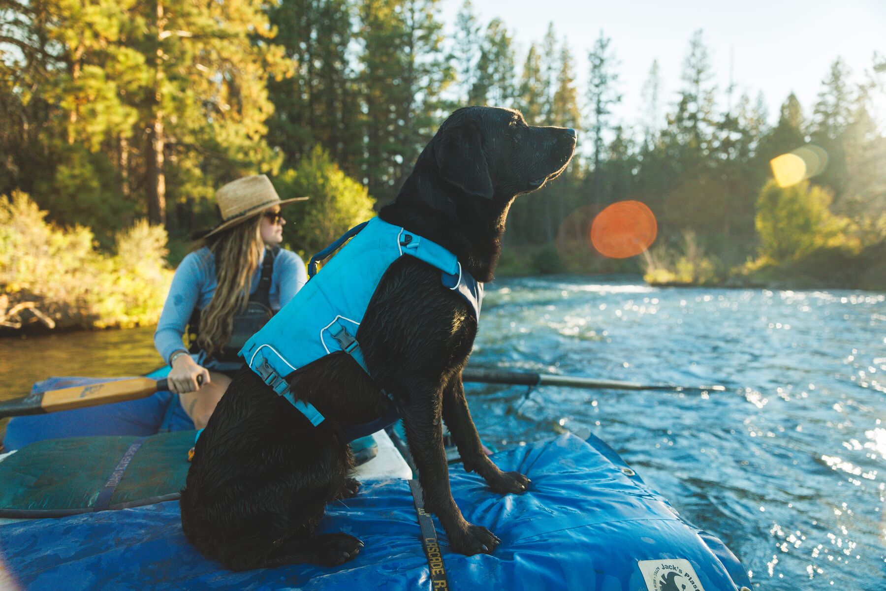 Ruffwear Confluence™ Support Jacket Biolumin Blue Ruffwear Confluence™ Support Jacket Biolumin Blue
