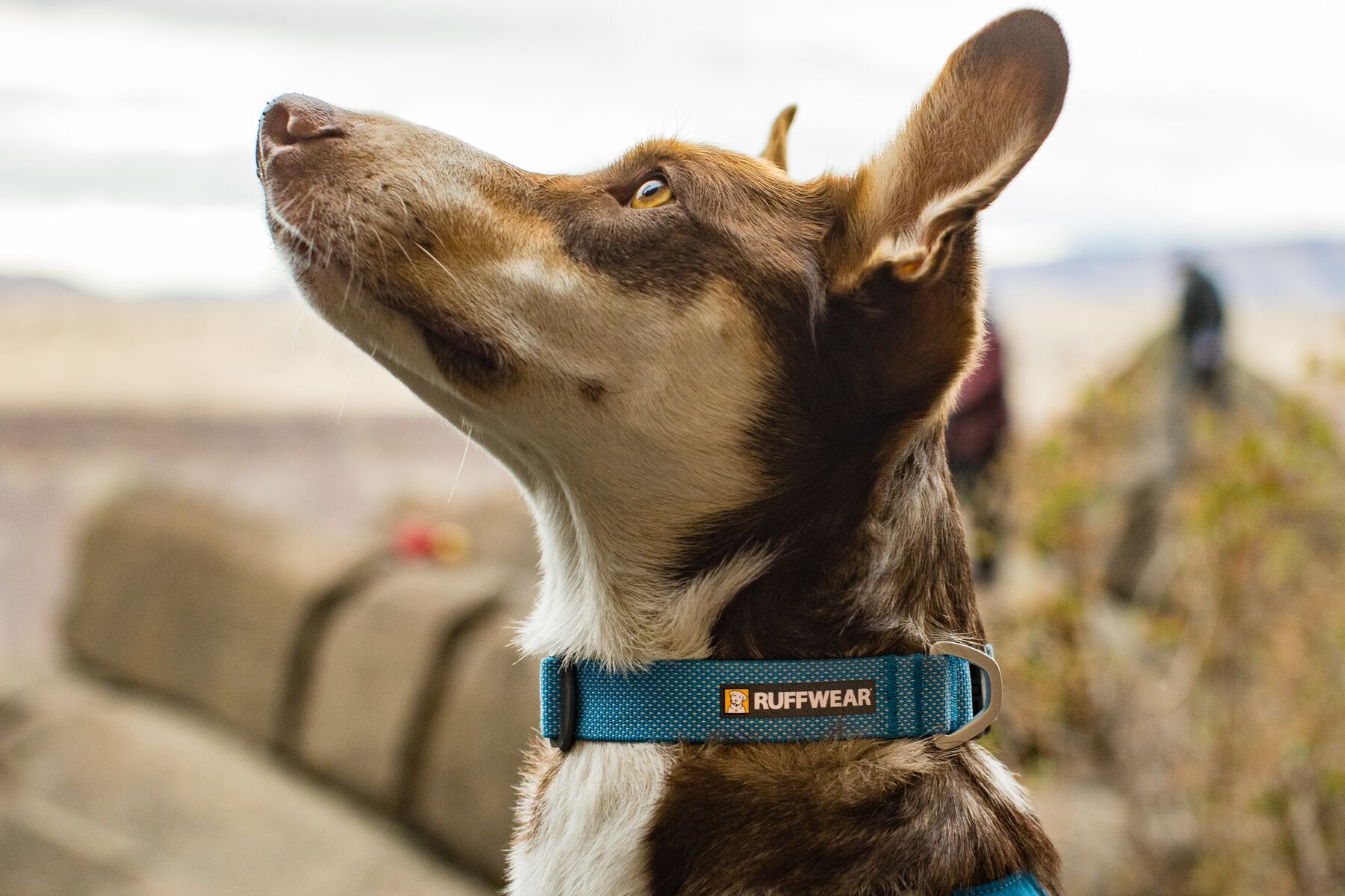 Ruffwear Hi & Light™ Collar