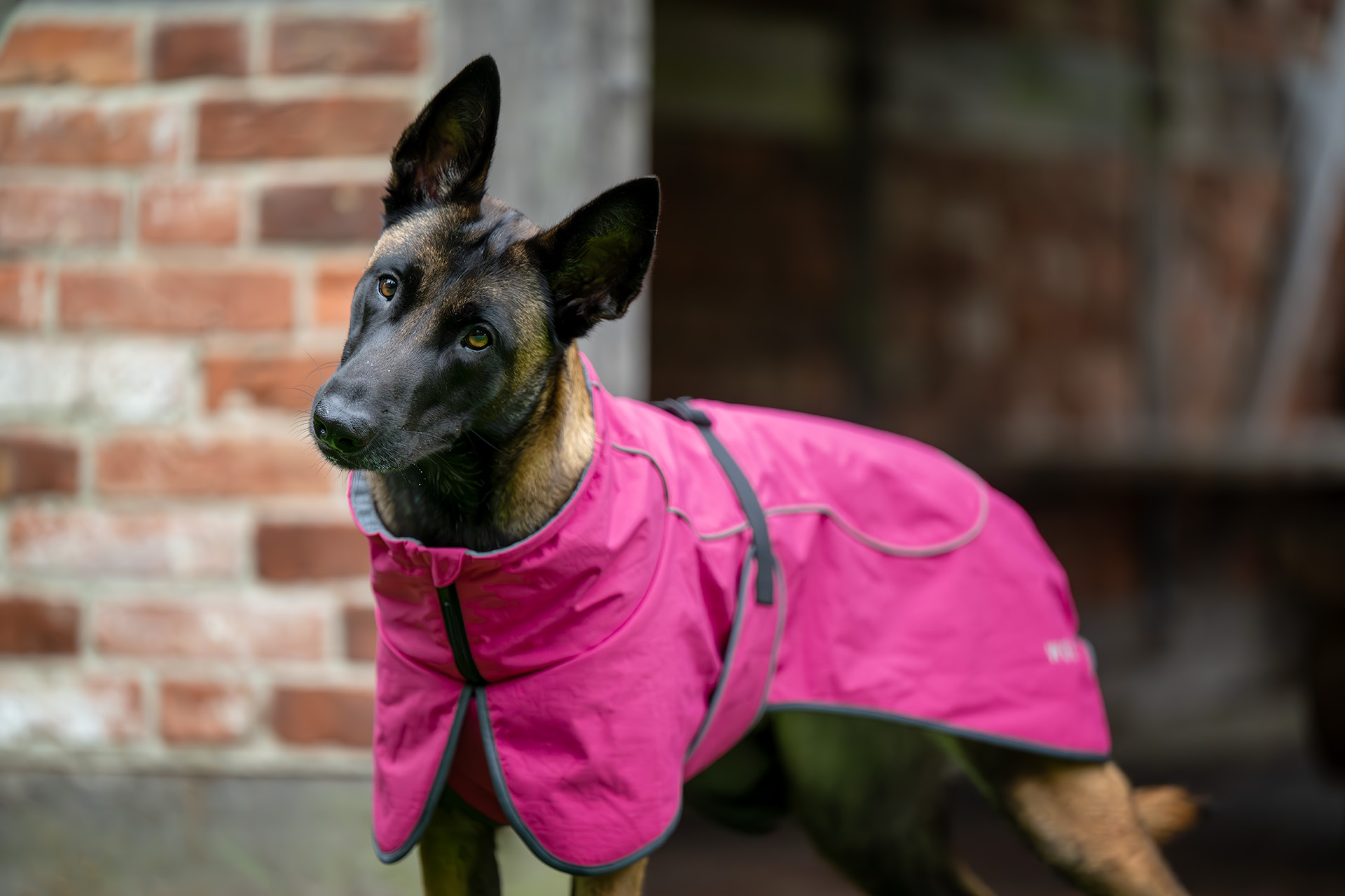 Wolters Cape Drizzle