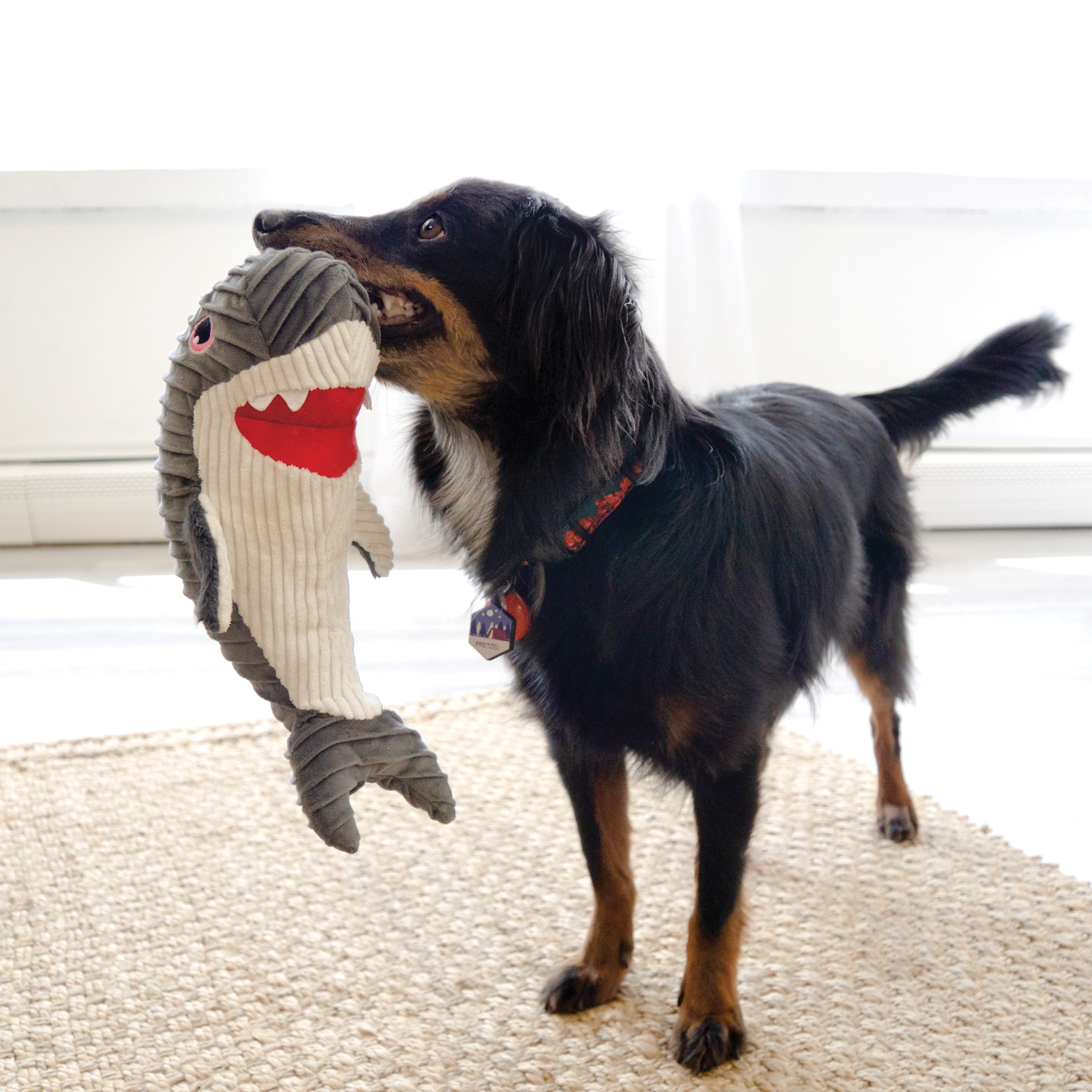 KONG Cuteseas Rufflez Shark M/L