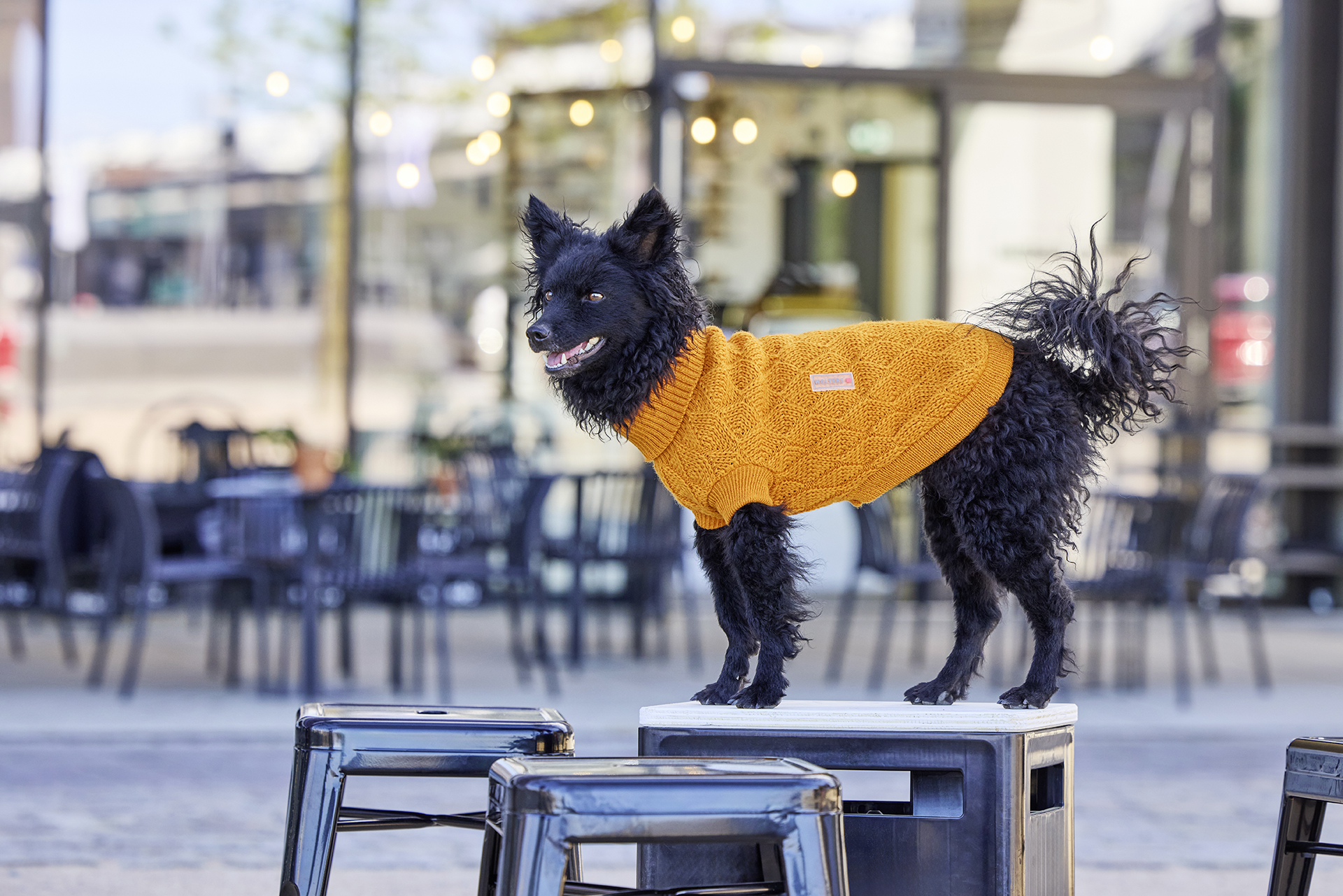Wolters Strickpullover Diamond fancy orange