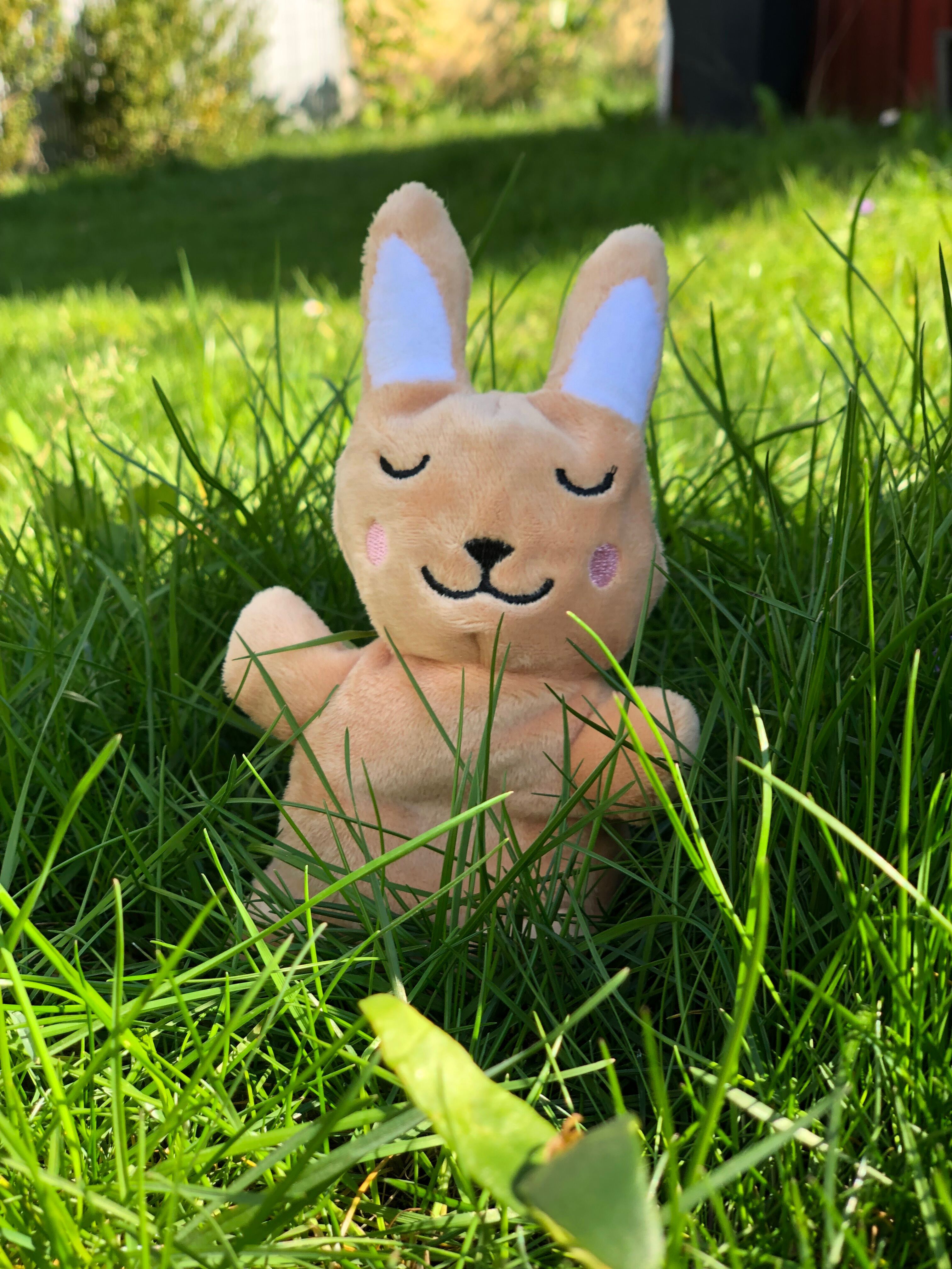 Aumüller Katzenspielkissen Hase Baldi Bunny aus braunem Schmuseplüsch gefüllt mit Baldrianwurzel und Dinkelspelz 9x6x12/16cm