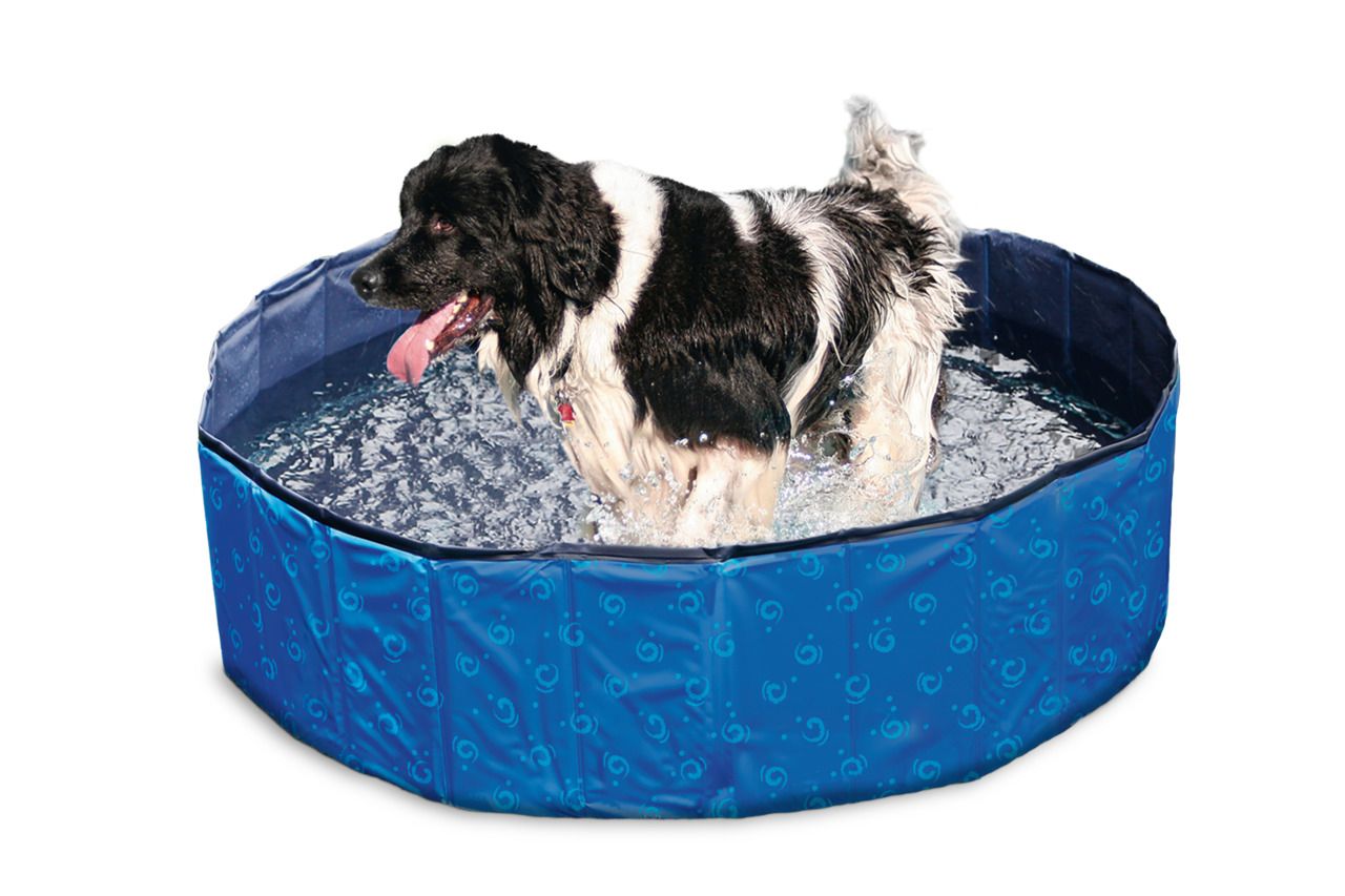 Karlie Doggy Pool blau