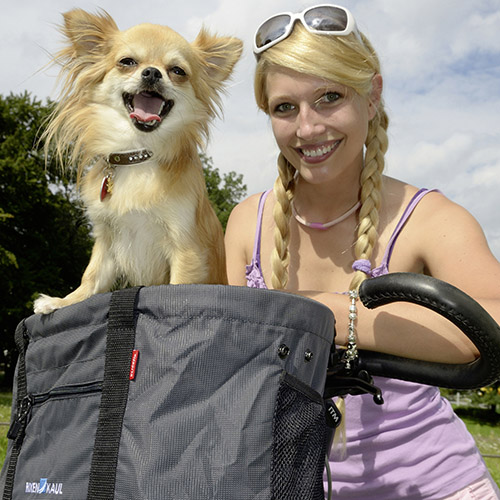 KlickFix Doggy Fahrradkorb grau/schwarz KlickFix Doggy Fahrradkorb grau/schwarz
