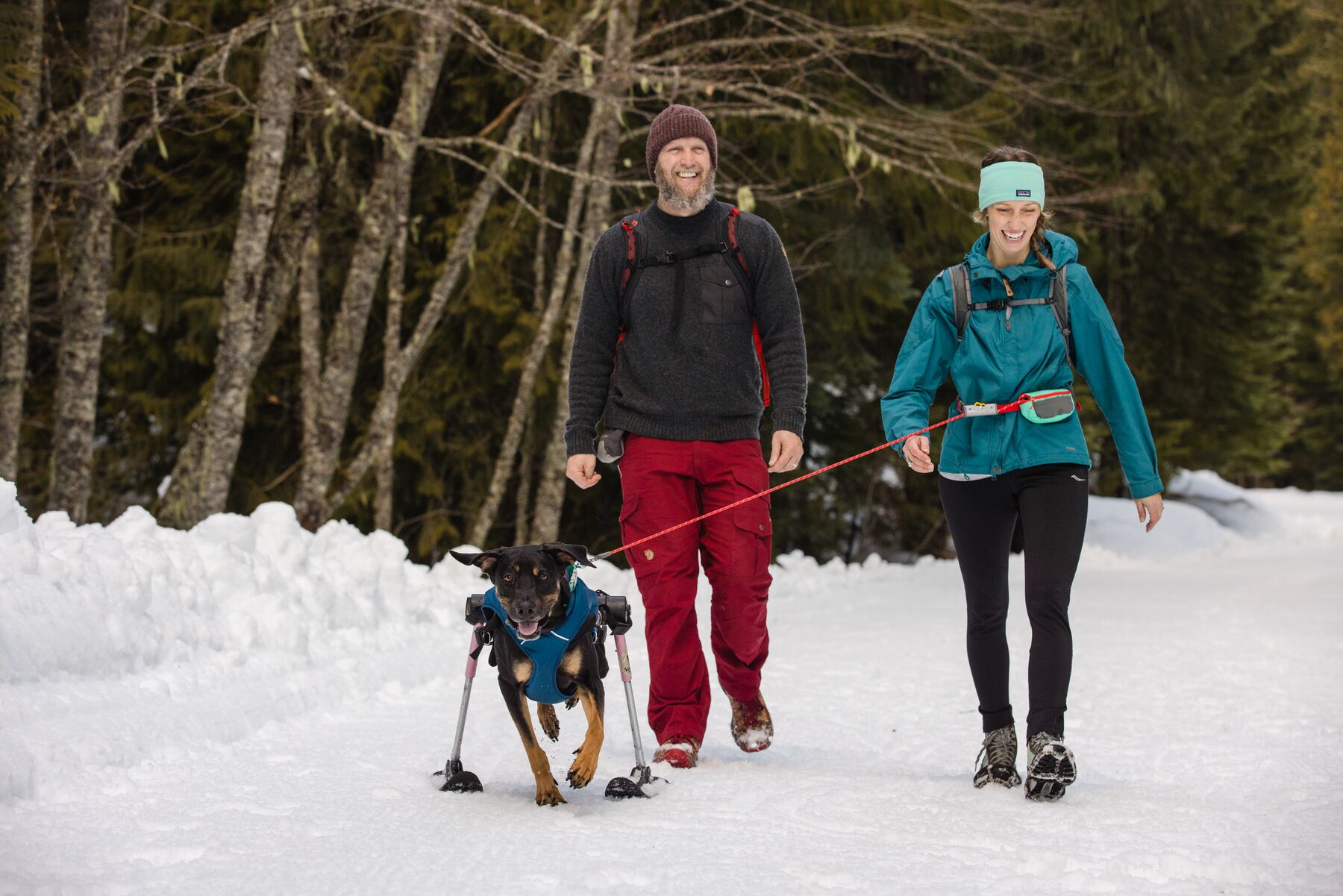 RuffWear Hitch Hiker™ Leash