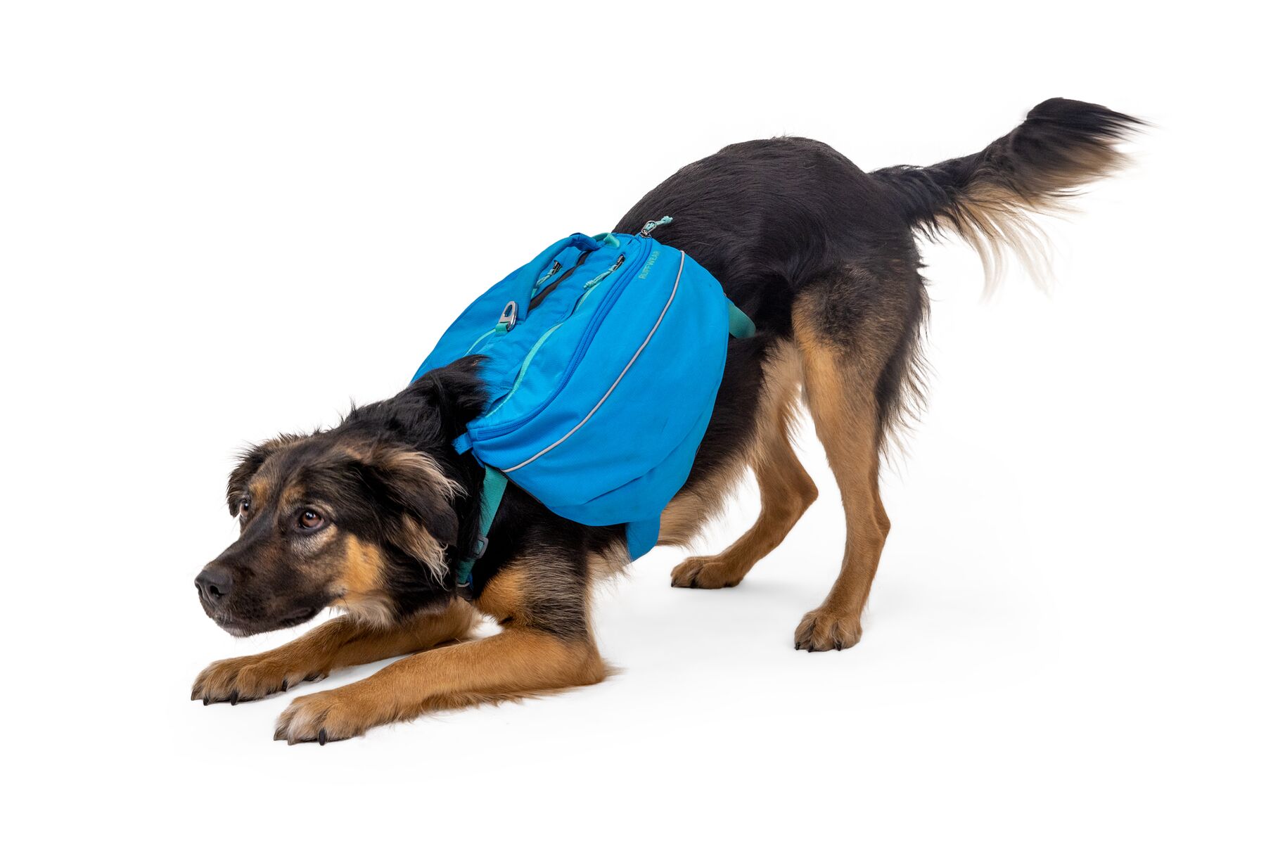 RuffWear Approach™ Pack Blue Dusk