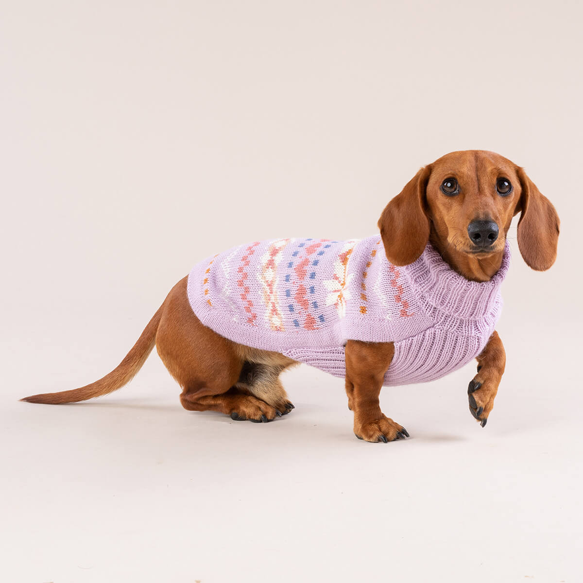 Alqo Wasi Hunde-Pullover Lavender Sunrise