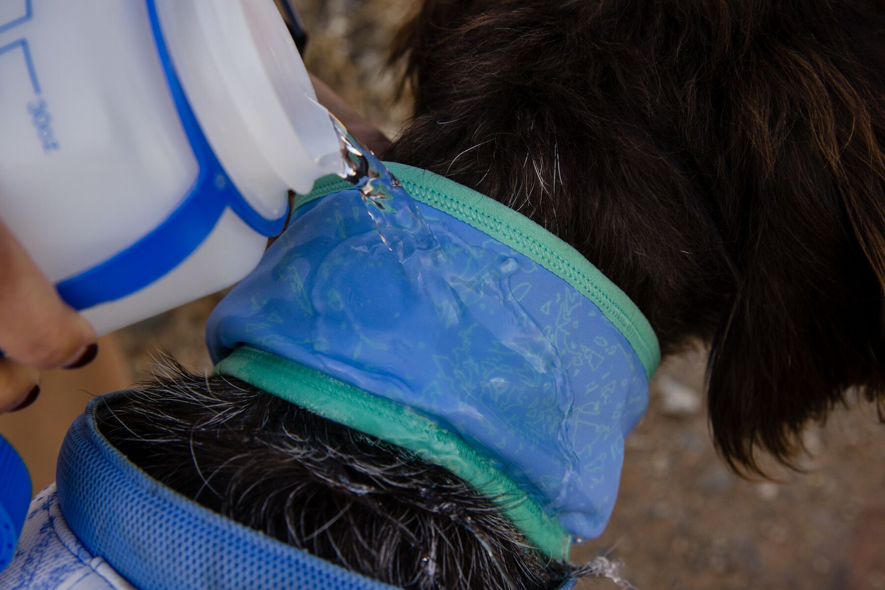 RuffWear Swamp Cooler™ Neck Gaiter