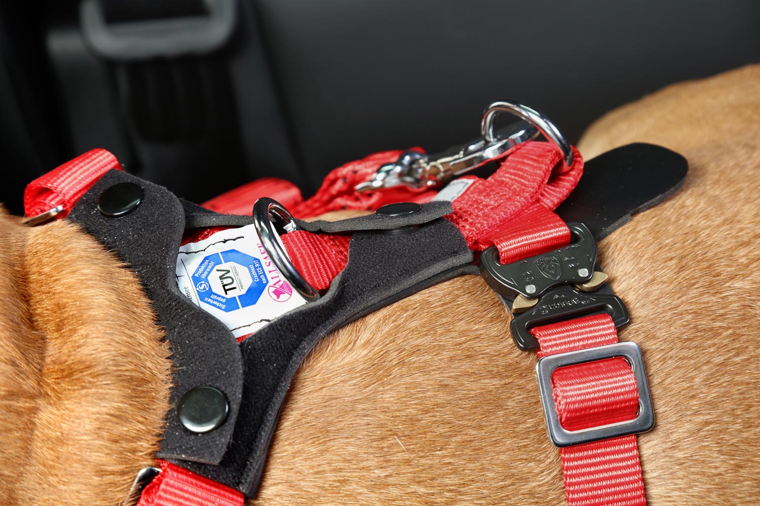 Kleinmetall Allsafe Comfort Hunde-Sicherheitsgurt, TÜV geprüft, Crash getestet