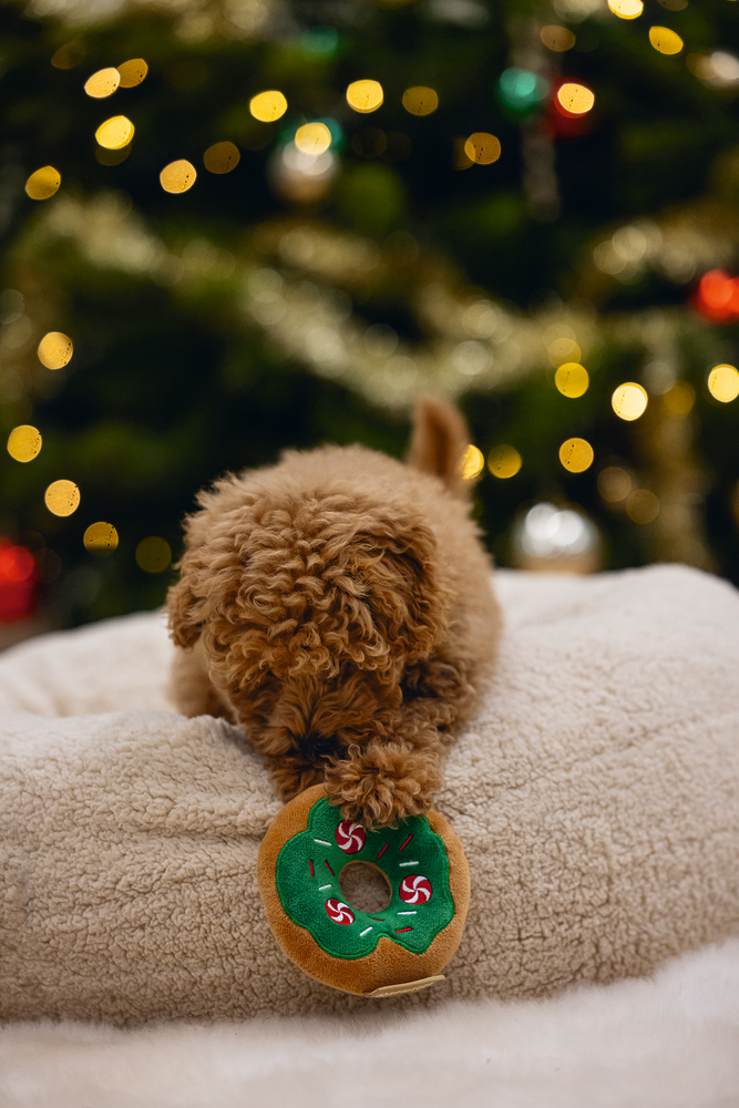 Beeztees Hundespielzeug Weihnachts-Donuts ⌀12cm