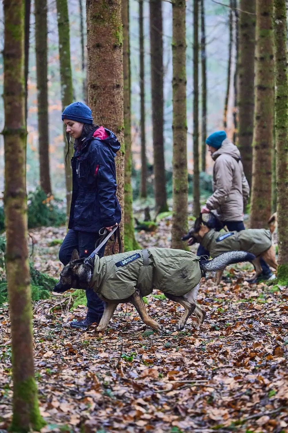 Non-stop dogwear Glacier dog jacket WD olive