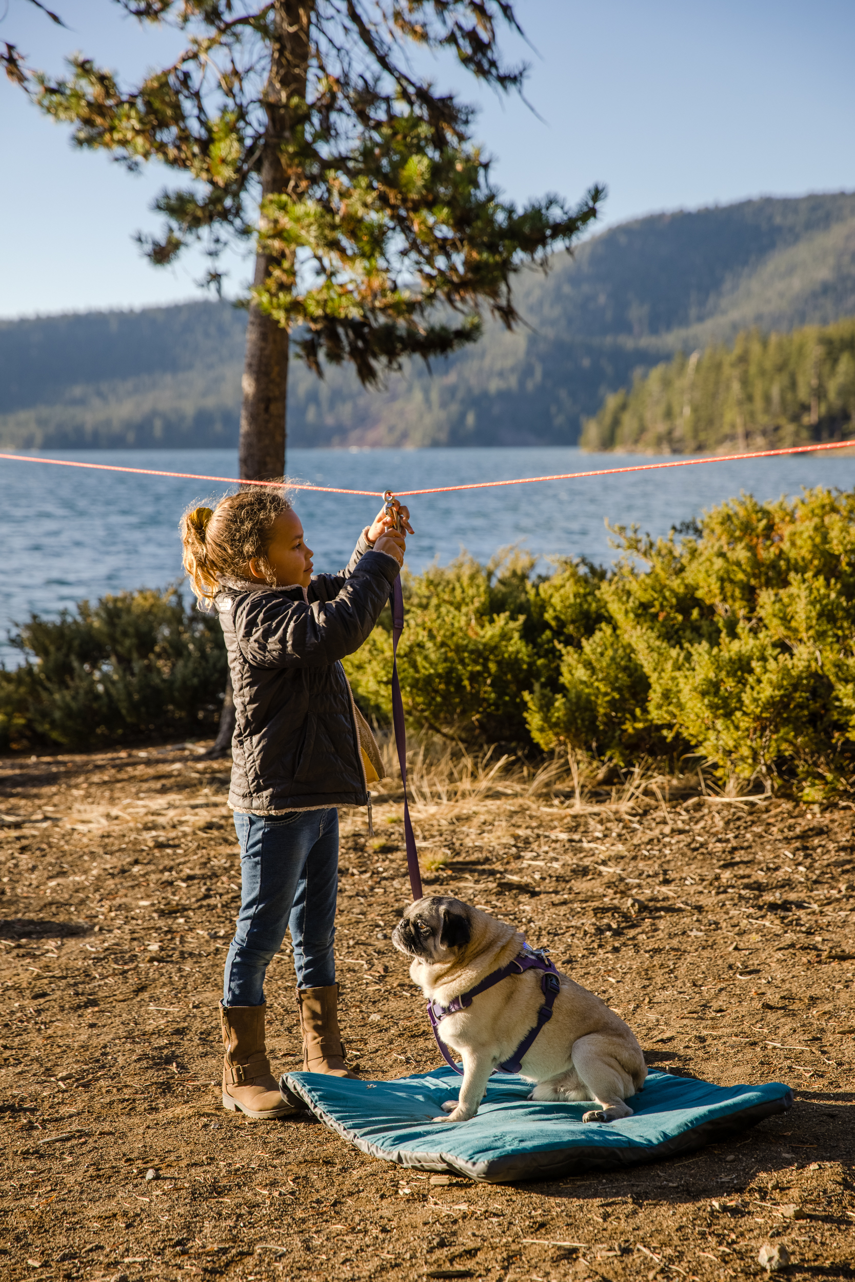 RuffWear Knot-a-Hitch™ Red Clay