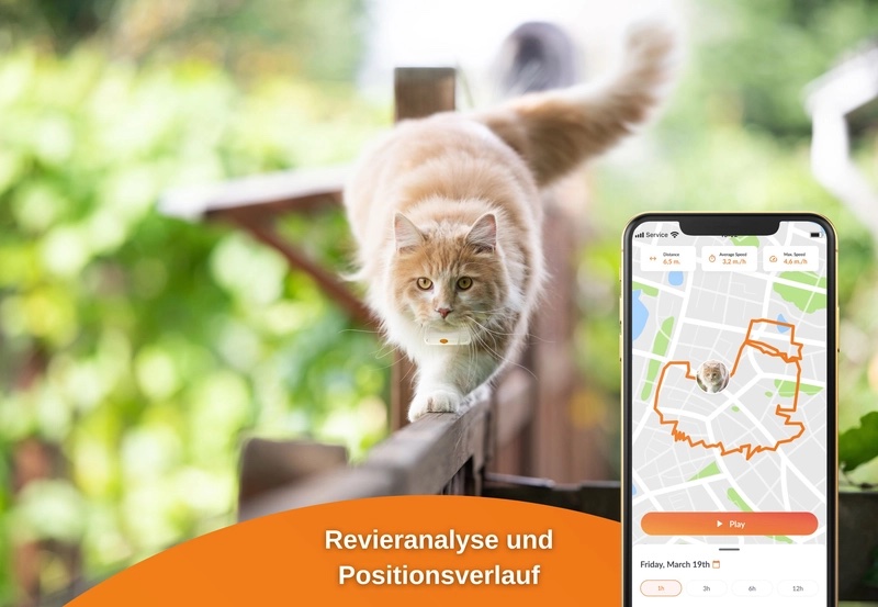 Weenect GPS-Tracker XS Cats