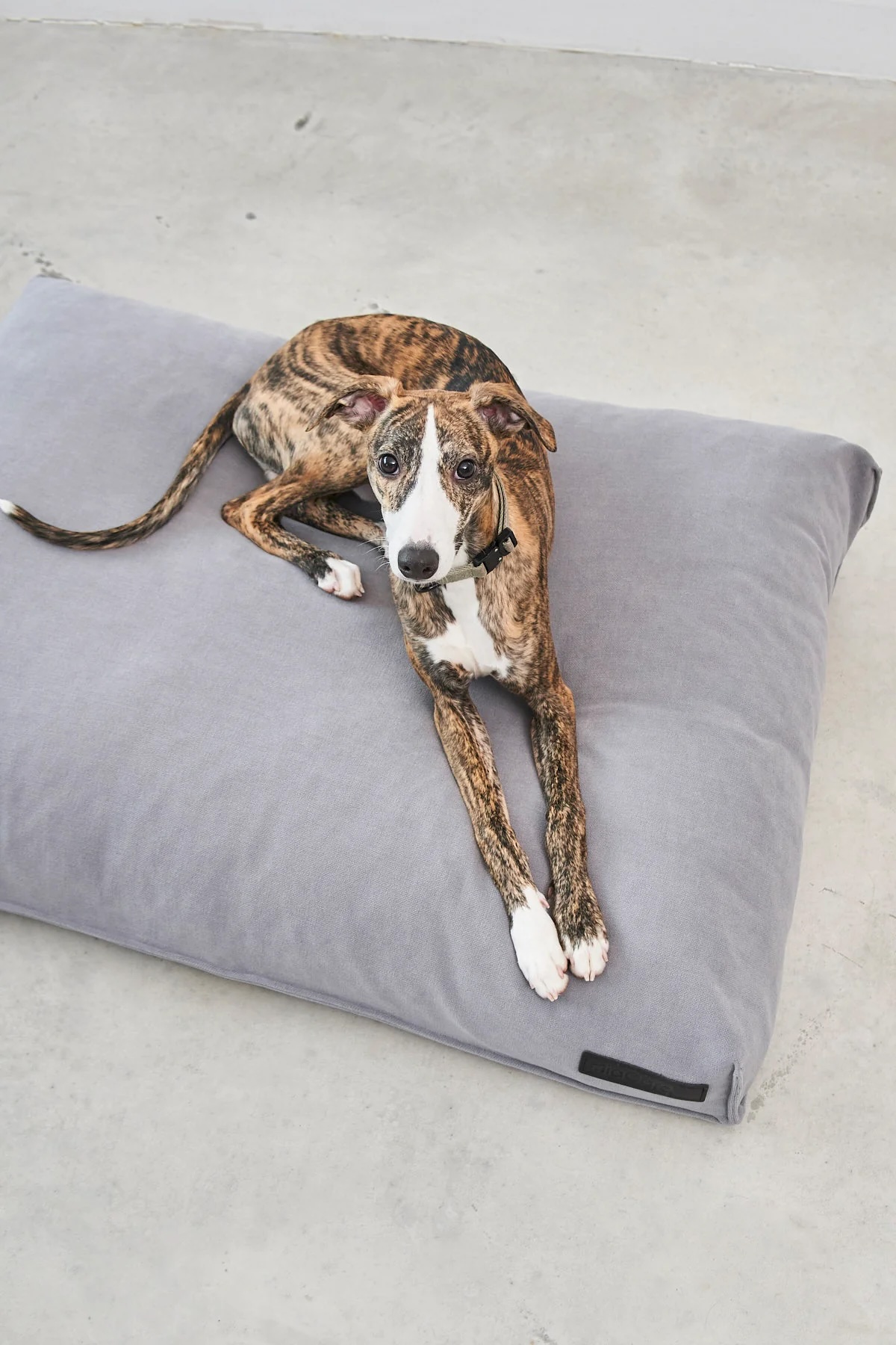 MiaCara Hundekissen Comodo Schiefer