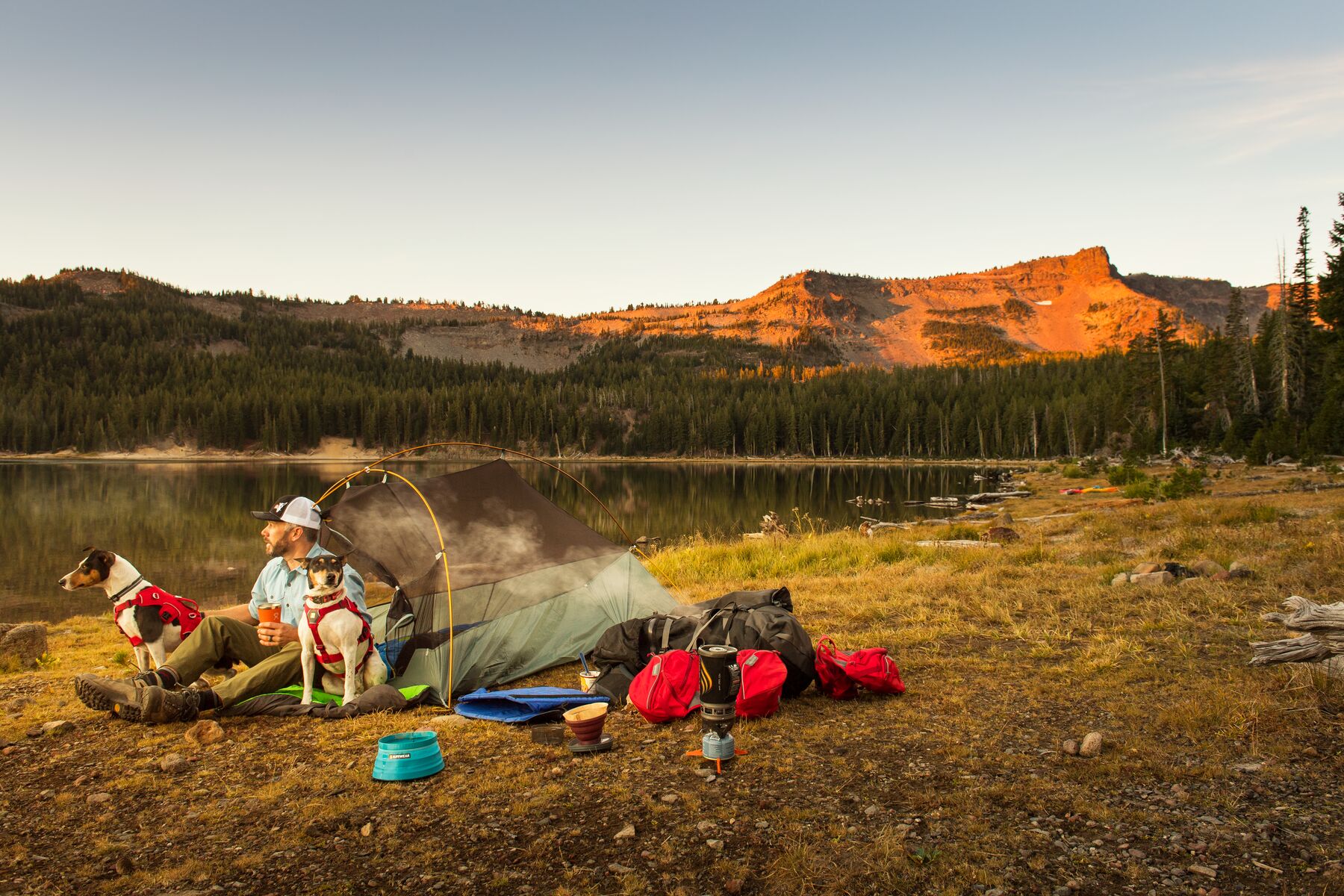 Ruffwear Palisades Pack Red Currant