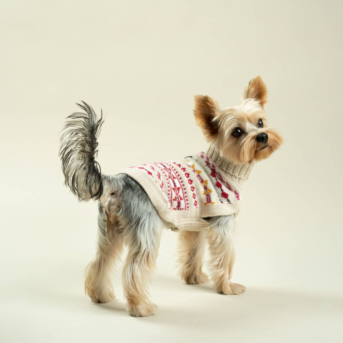 Alqo Wasi Hunde-Pullover Aurora