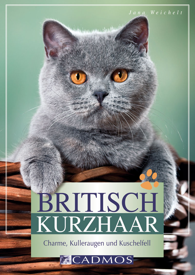 Cadmos - Britisch Kurzhaar [Weichelt]