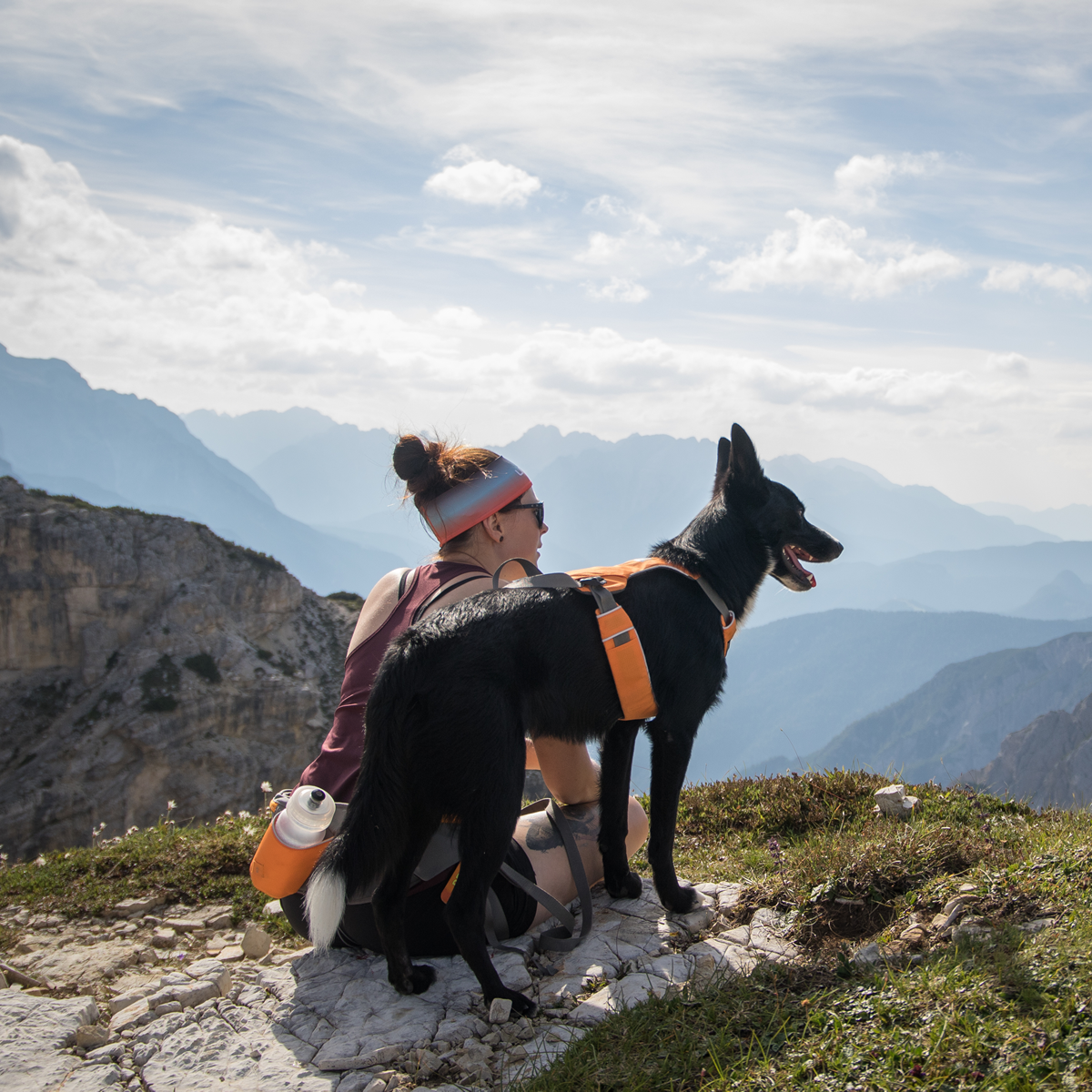 Ruffwear Omnijore Joring System