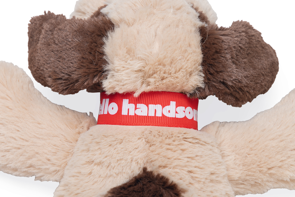 Beeztees Hundespielzeug Valentinstag Hund Joep