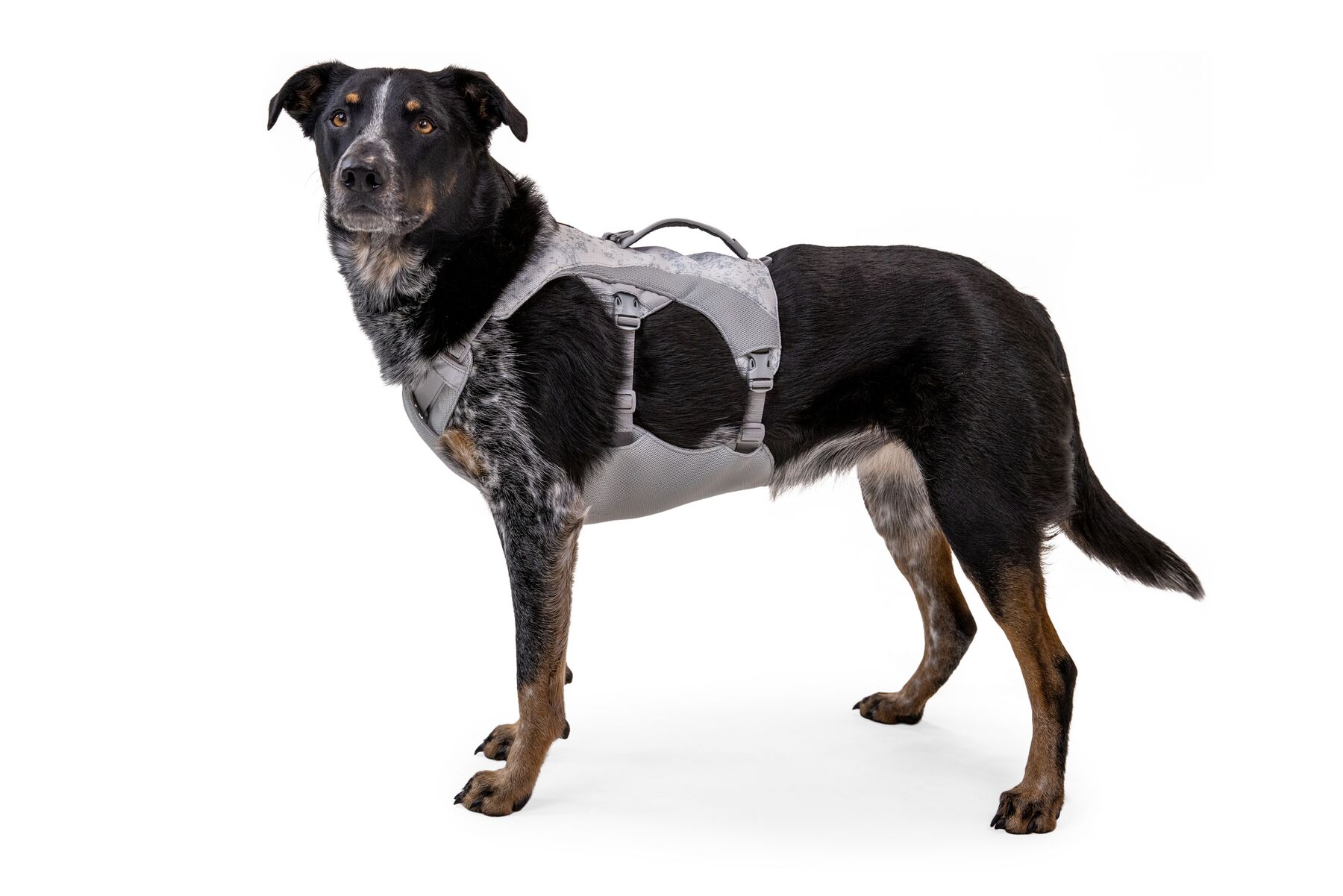 RuffWear Swamp Cooler™ Harness Graphite Grey