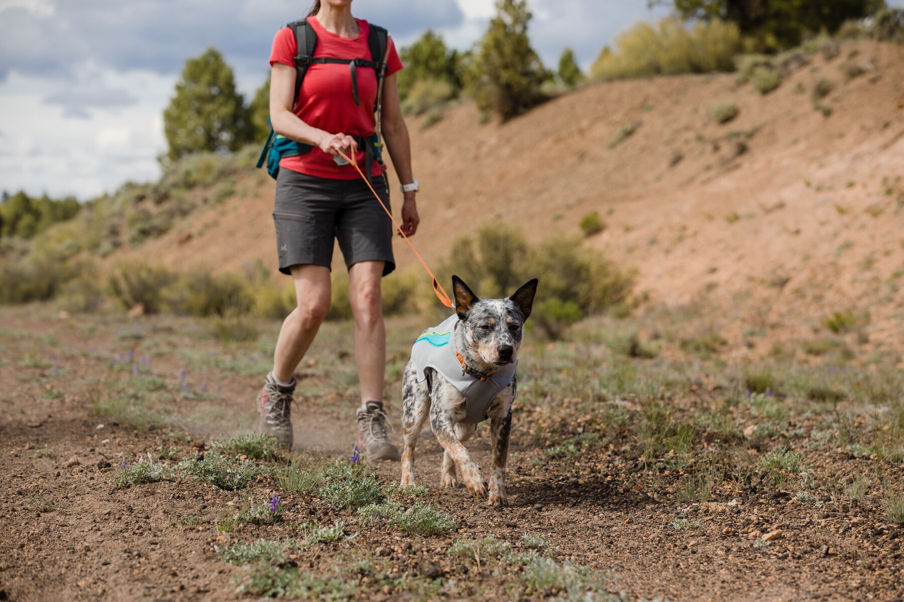 RuffWear Front Range™ Leash (one size)