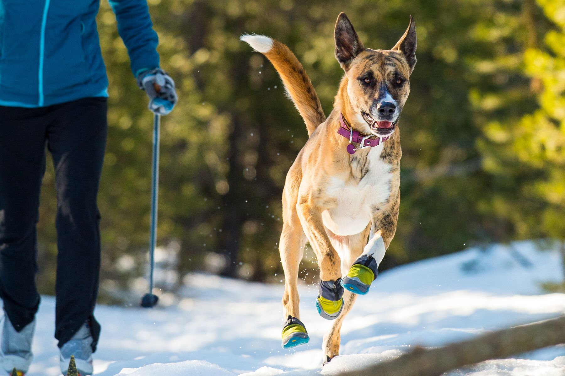 Ruffwear Polar Trex - set of 2 - Forest Green