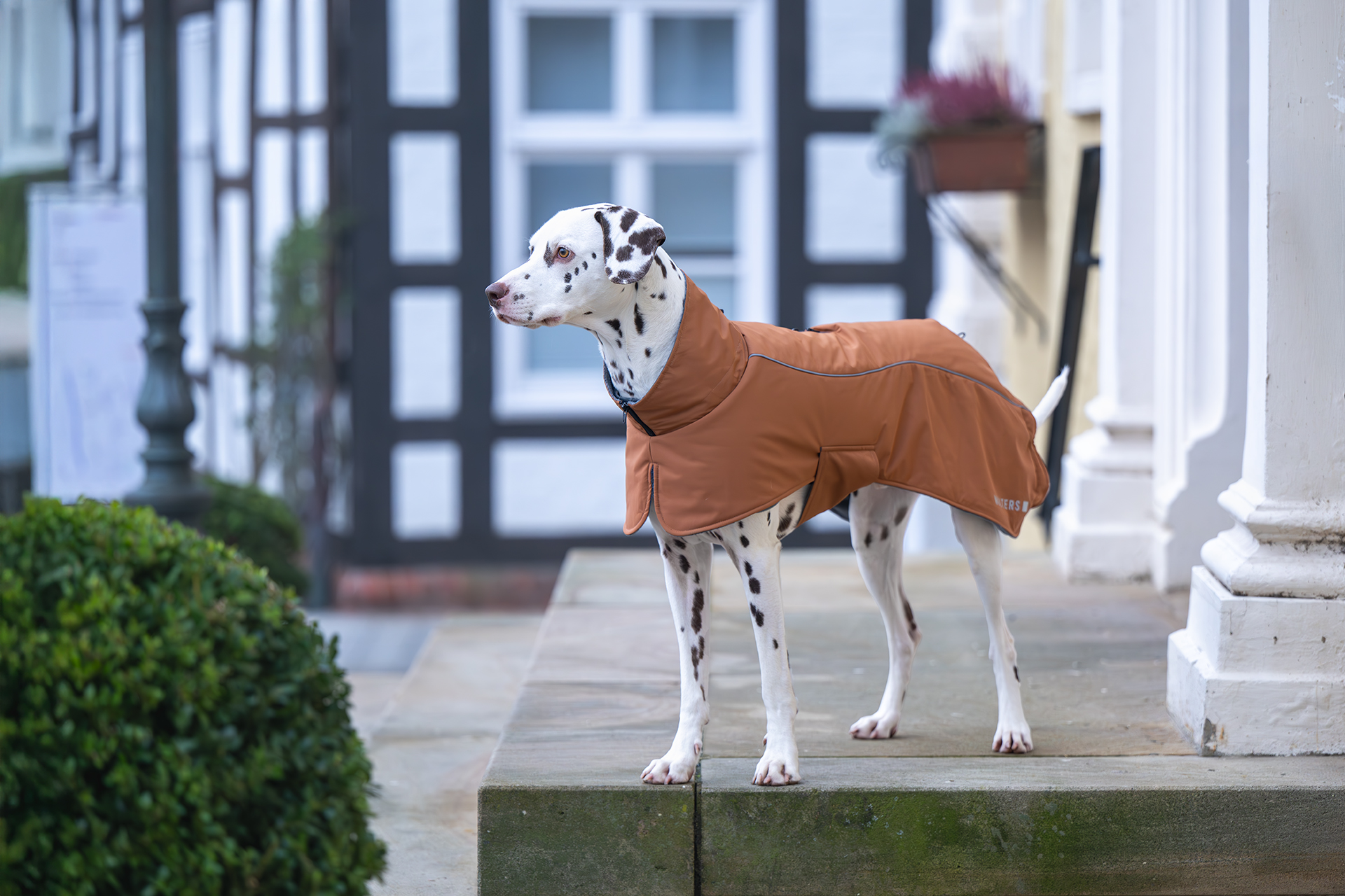 Wolters Cape Adventure