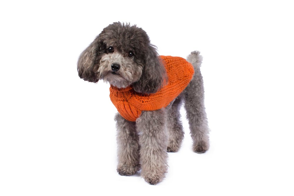 Alqo Wasi Hunde-Pullover Chunky Cable Knit Orange