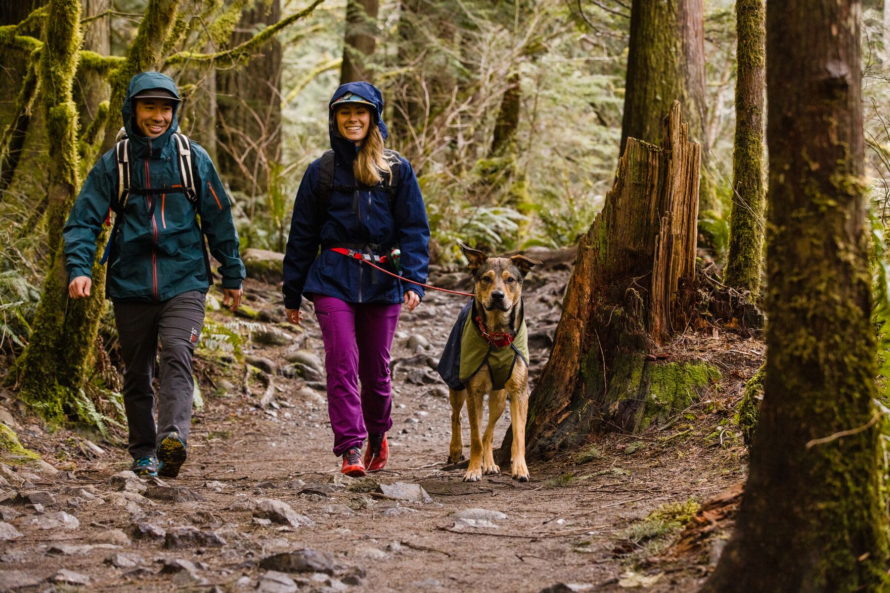 RuffWear Hitch Hiker™ Leash